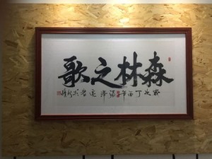 公司介绍